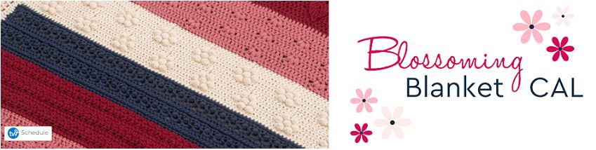 blankets crochet along free patterns