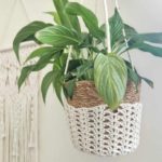 free crochet plant hanger pattern made by gootie