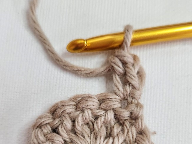 crochet without turning chain